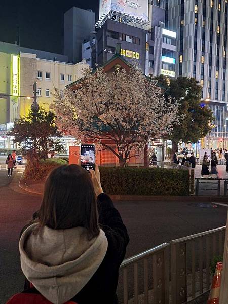 1140322-2駒形橋&吾妻橋