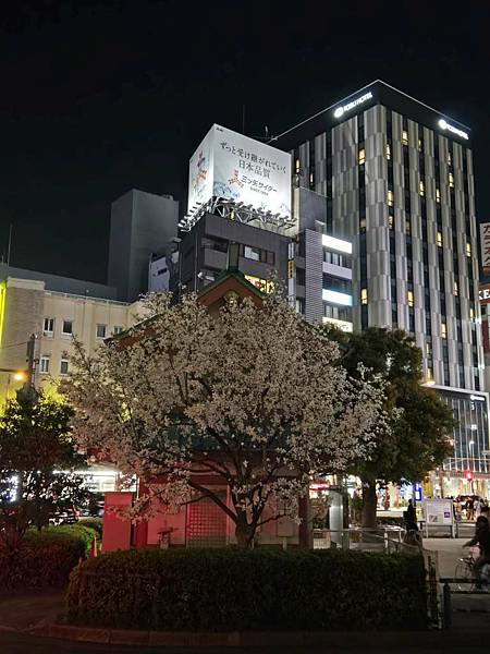 1140322-2駒形橋&吾妻橋