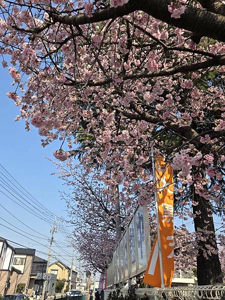 1140323-2密藏院 1140323-2密藏院