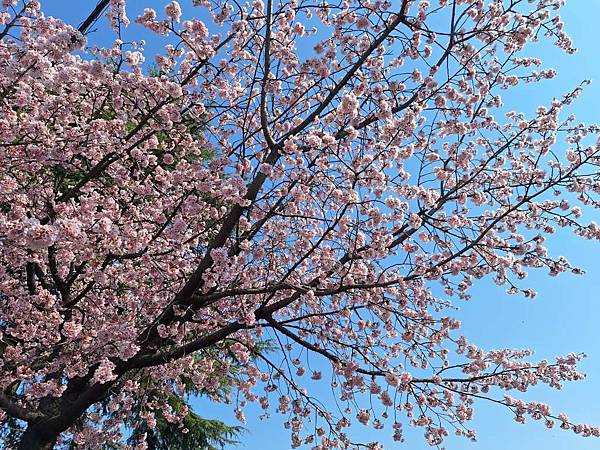 1140323-2密藏院 1140323-2密藏院