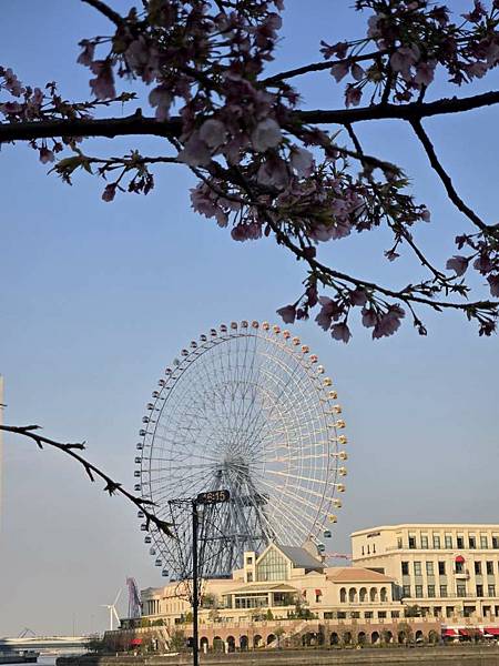 1140323-7横浜舞踏会