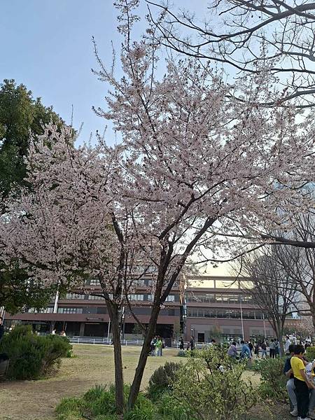 1140323-9紅磚倉庫 1140323-9紅磚倉庫