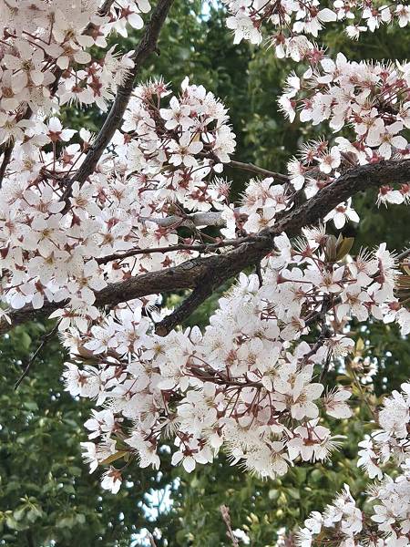 1140323-9紅磚倉庫 1140323-9紅磚倉庫