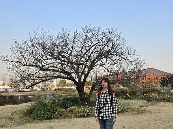 1140323-9紅磚倉庫