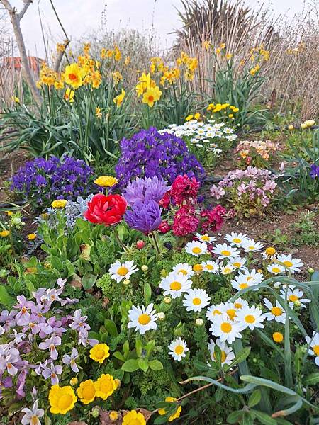 1140323-9紅磚倉庫