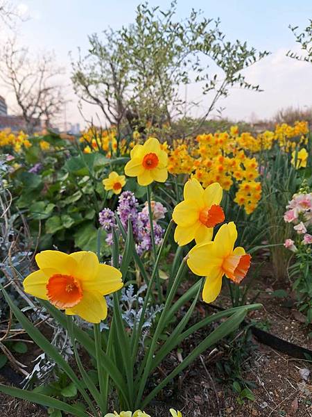 1140323-9紅磚倉庫