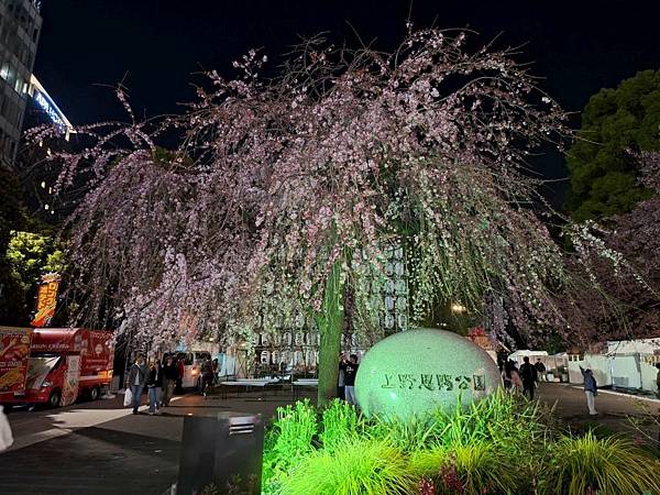 1140323-14上野公園夜櫻