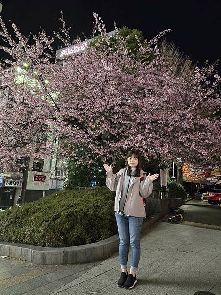 1140323-14上野公園夜櫻 1140323-14上野公園夜櫻