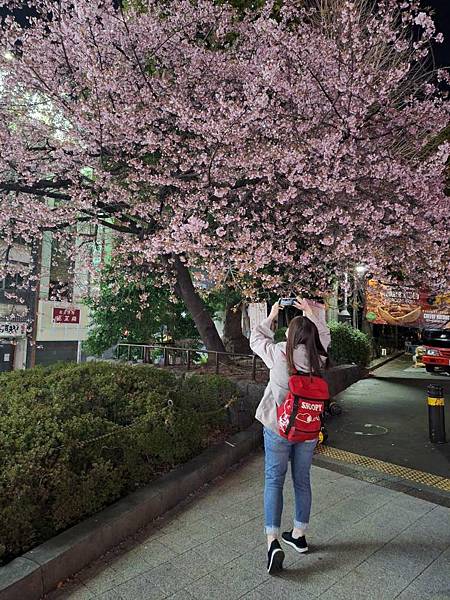 1140323-14上野公園夜櫻 1140323-14上野公園夜櫻