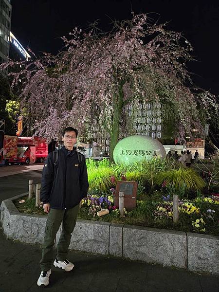 1140323-14上野公園夜櫻 1140323-14上野公園夜櫻