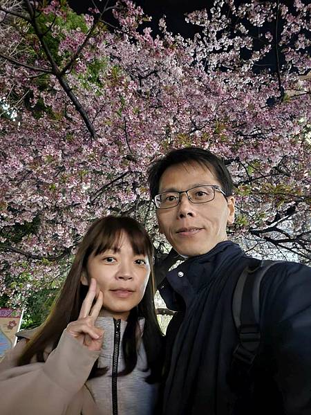 1140323-14上野公園夜櫻 1140323-14上野公園夜櫻