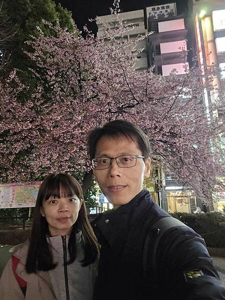 1140323-14上野公園夜櫻 1140323-14上野公園夜櫻