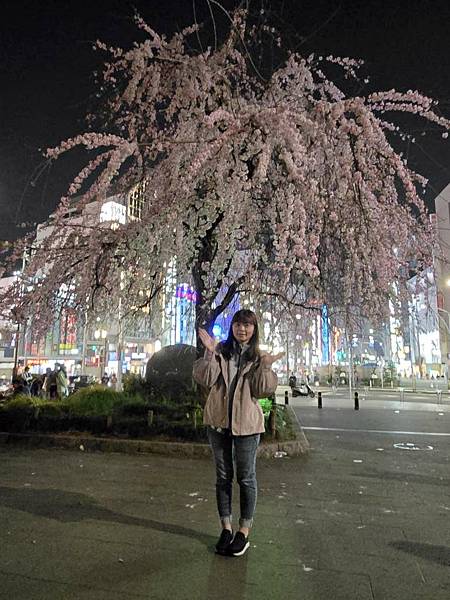 1140323-14上野公園夜櫻 1140323-14上野公園夜櫻