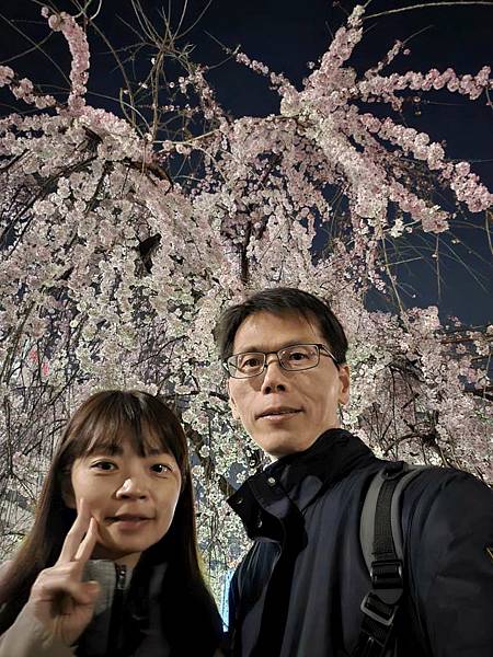 1140323-14上野公園夜櫻 1140323-14上野公園夜櫻