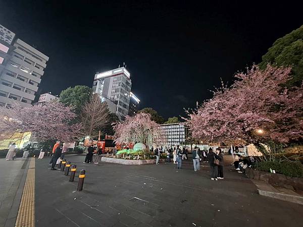1140323-14上野公園夜櫻 1140323-14上野公園夜櫻