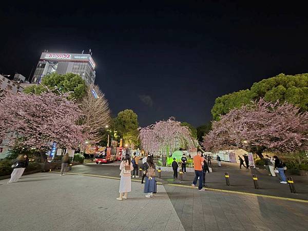 1140323-14上野公園夜櫻 1140323-14上野公園夜櫻