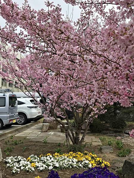 1140324-3川越工業高等學校