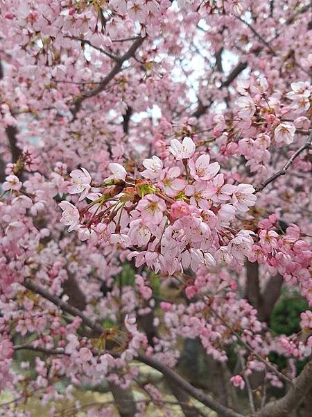 1140324-3川越工業高等學校
