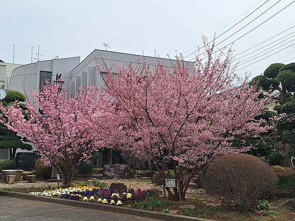 1140324-3川越工業高等學校