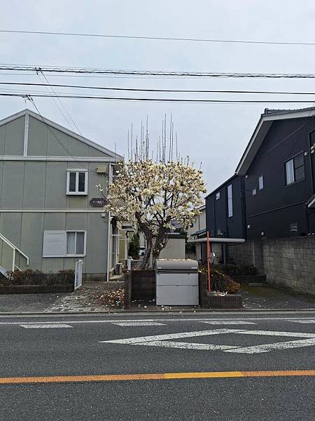 1140324-3川越工業高等學校