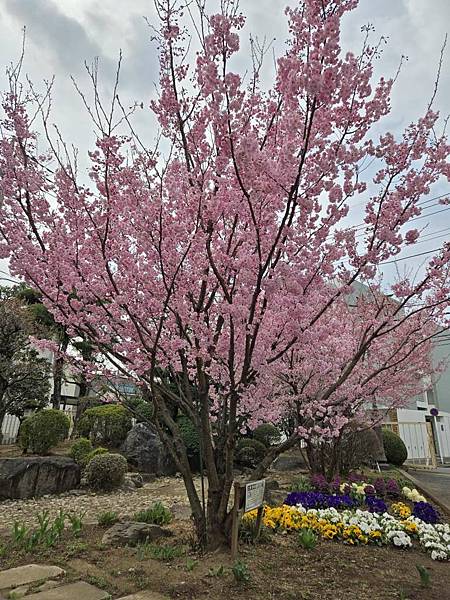 1140324-3川越工業高等學校