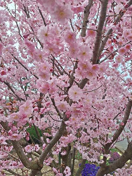 1140324-3川越工業高等學校