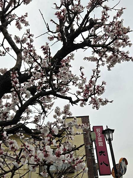 1140324-6藏造老街