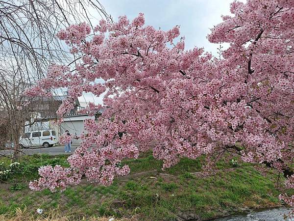 1140324-8新河岸川
