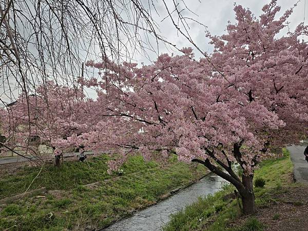 1140324-8新河岸川