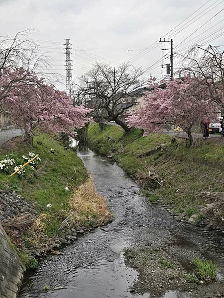 1140324-8新河岸川