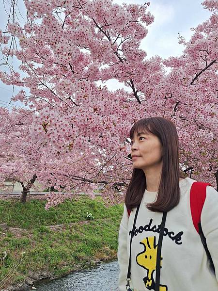 1140324-8新河岸川