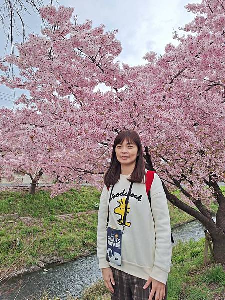 1140324-8新河岸川