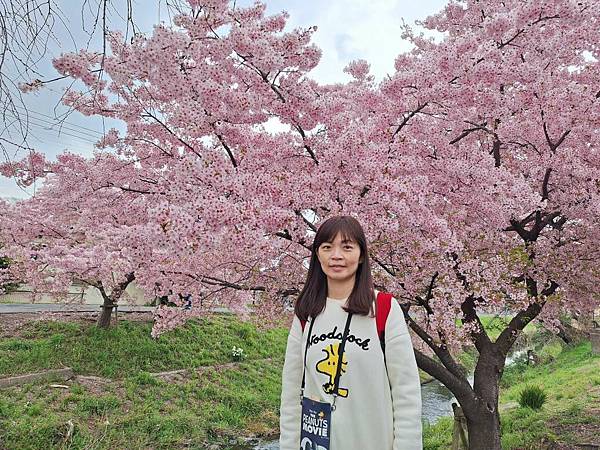 1140324-8新河岸川