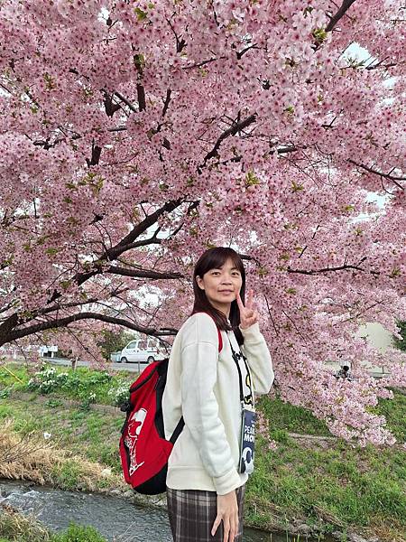 1140324-8新河岸川