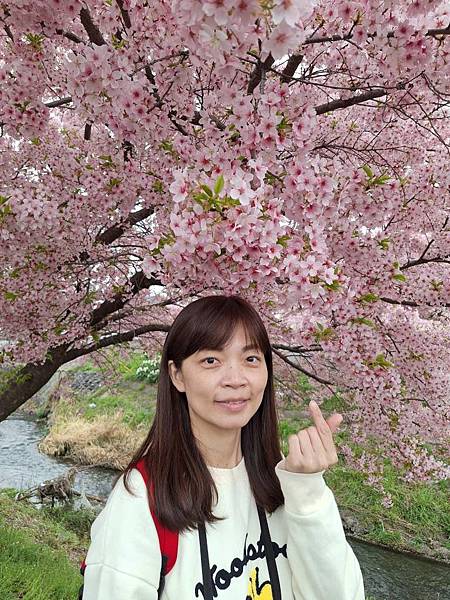 1140324-8新河岸川