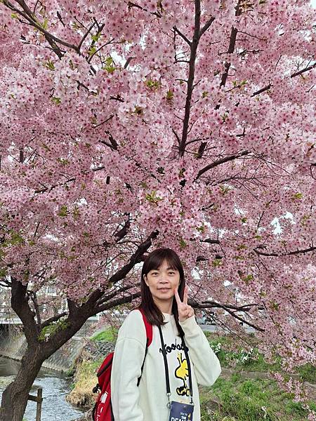 1140324-8新河岸川