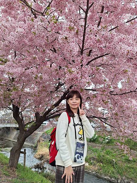 1140324-8新河岸川