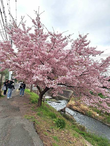 1140324-8新河岸川