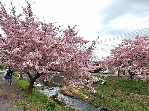 1140324-8新河岸川