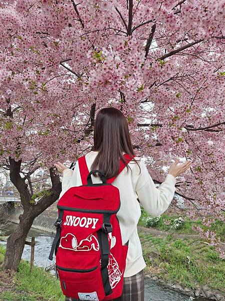 1140324-8新河岸川