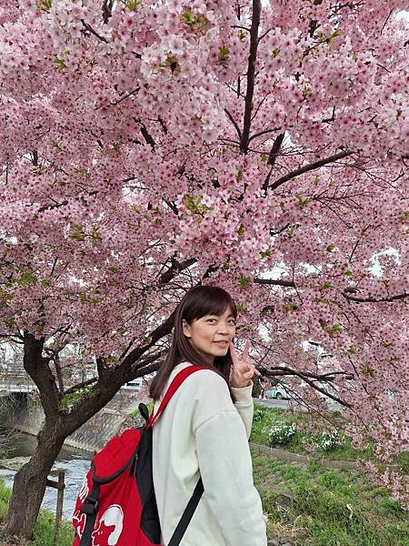 1140324-8新河岸川