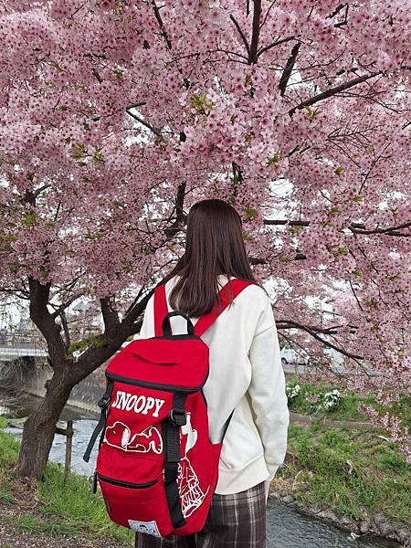 1140324-8新河岸川