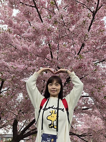 1140324-8新河岸川