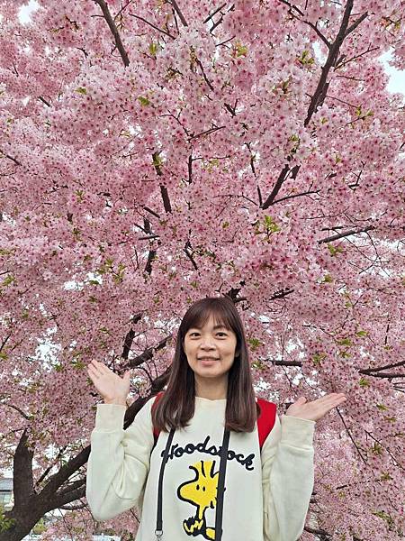 1140324-8新河岸川