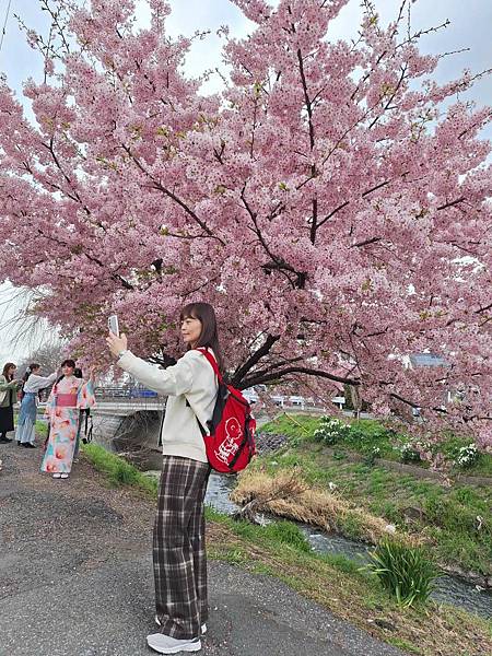 1140324-8新河岸川