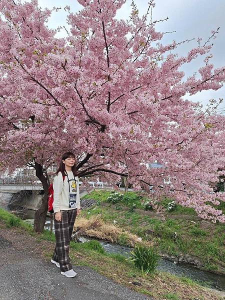 1140324-8新河岸川