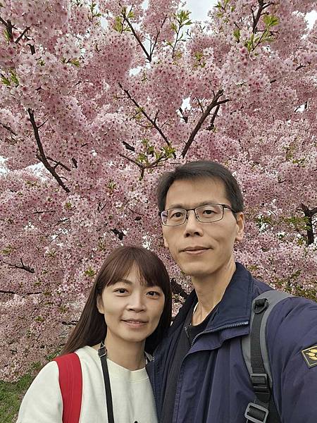 1140324-8新河岸川