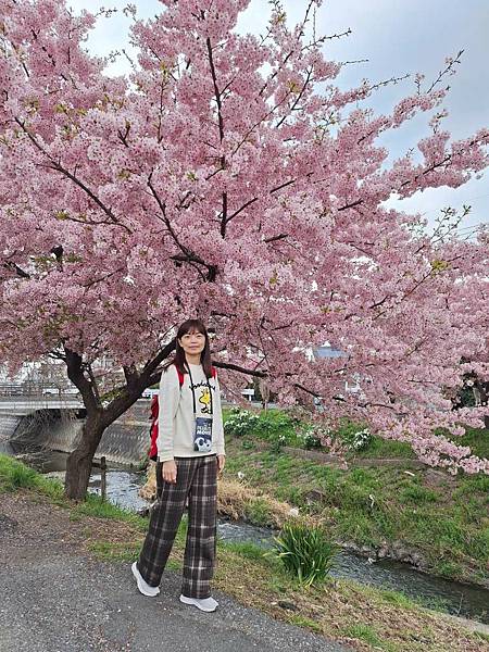 1140324-8新河岸川