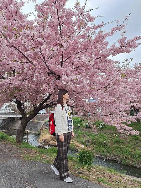 1140324-8新河岸川