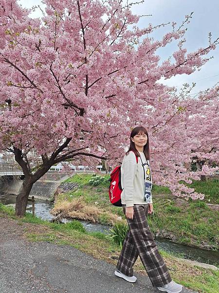 1140324-8新河岸川